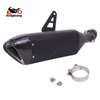 r1250gs muffler